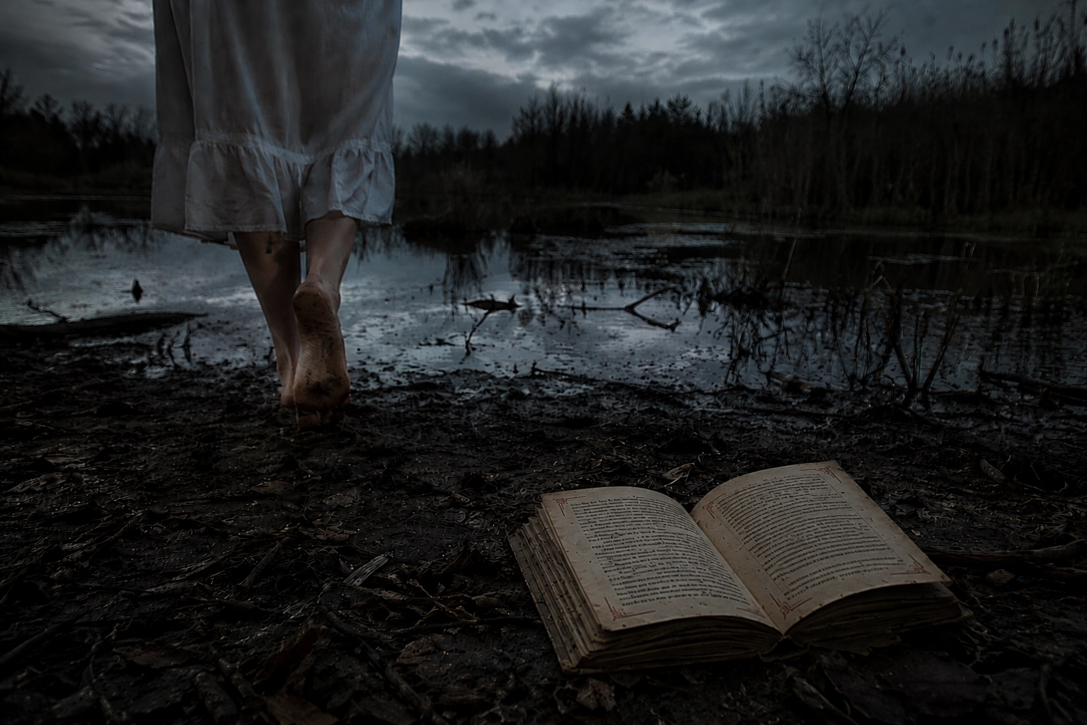 The Witch's Curse